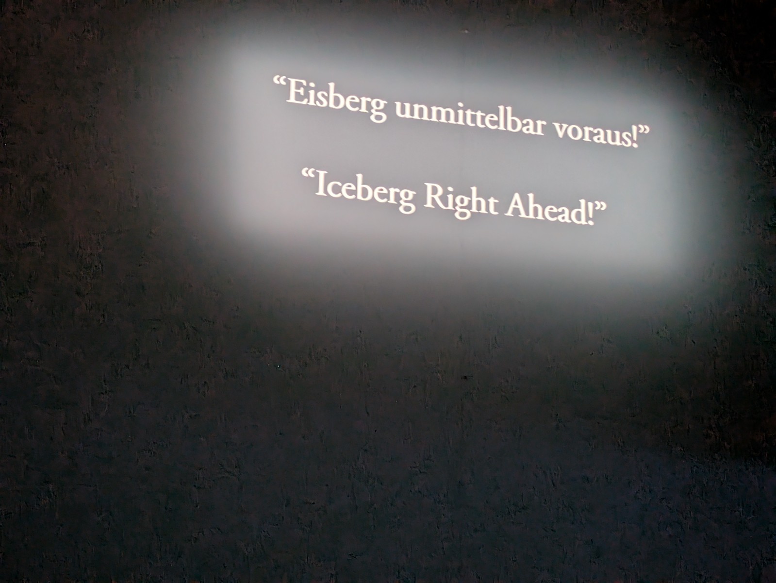 PXL 20241217 114006040.NIGHT